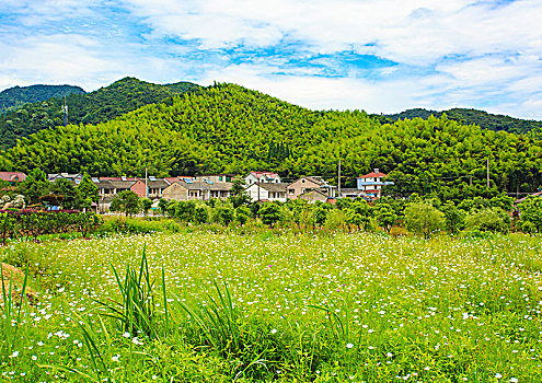 田园,民居,乡村,房子,草地,绿色