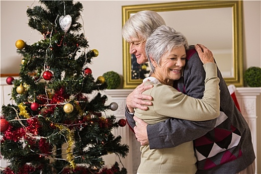 老年,夫妻,搂抱,旁侧,圣诞树