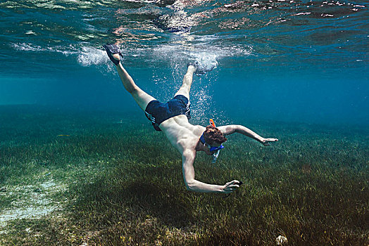 男青年,潜水,水下,汤加,太平洋