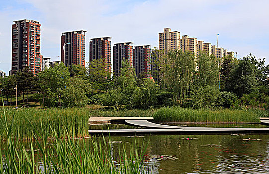 住宅区,庭院,园林