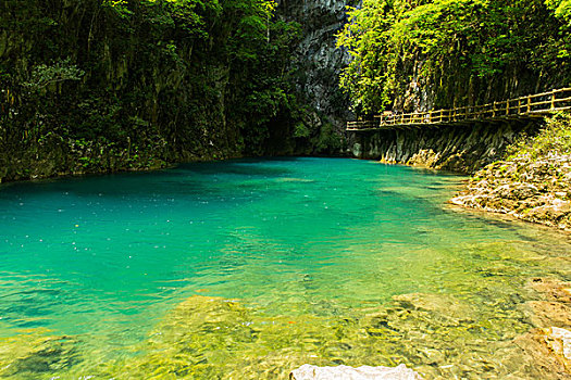 自燃山水