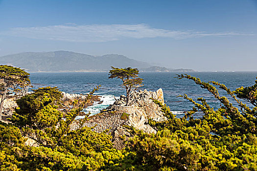 岛屿,海岸线,圣克鲁斯岛,加利福尼亚