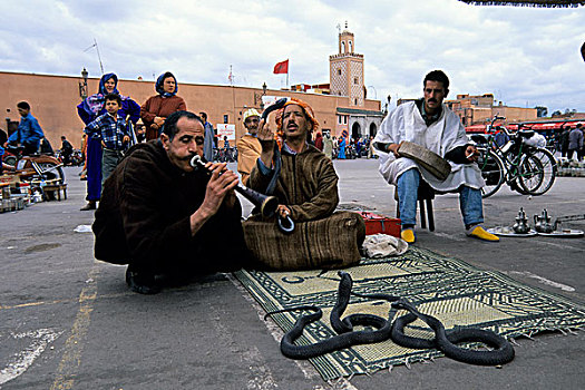 摩洛哥,玛拉喀什,广场,耍蛇