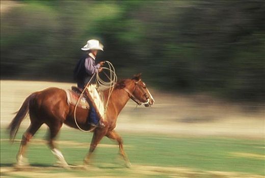 侧面,牛仔,骑马,德克萨斯,美国