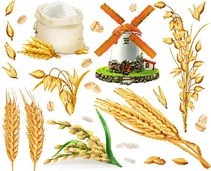 小麦,米饭,燕麦,大麦,面粉,风车,谷物,矢量,象征