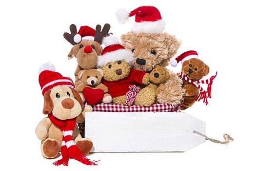圣诞节,泰迪熊,隔绝,白色背景,背景,概念,团队,朋友