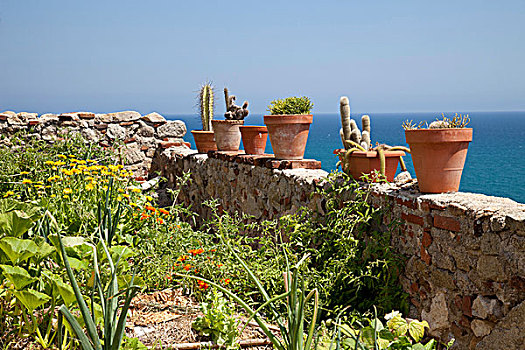 花盆,墙壁,高处,海岸,哥斯达黎加,加泰罗尼亚,西班牙,欧洲