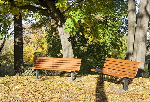 公园长椅,秋天