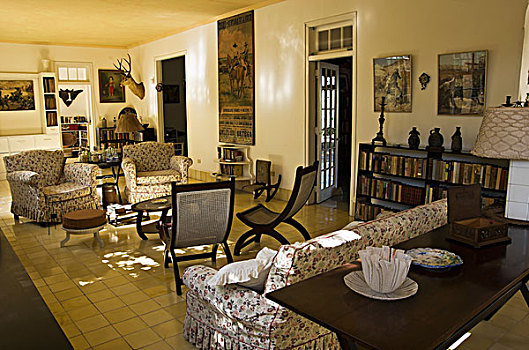 房子,看,客厅,家具,书本,长耳鹿,头部,哈瓦那,古巴
