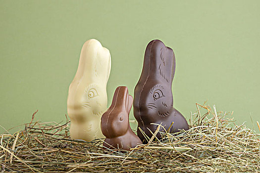 复活节巧克力兔,巧克力,兔子,稻草,窝