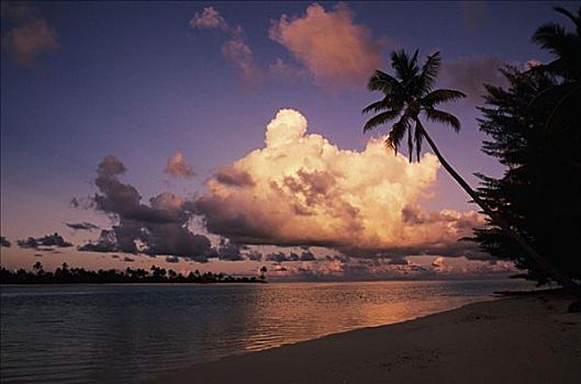 法属玻利尼西亚,泰蒂亚罗阿岛,岛屿,漂亮,海滩,棕榈树,日落