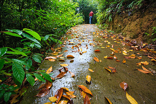 山路,台阶