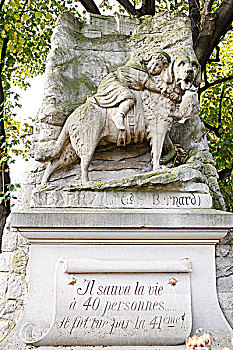 法国,动物,墓地,狗,纪念