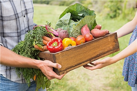 农民,给,盒子,蔬菜,顾客