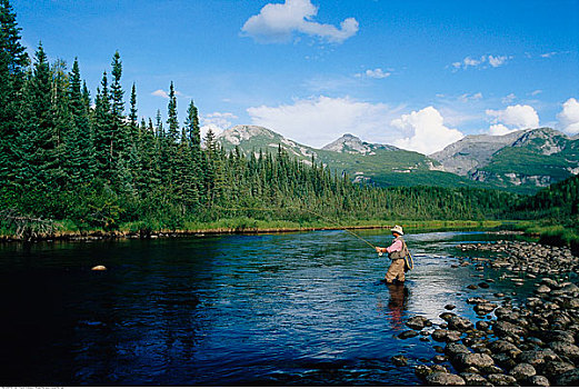 男人,飞钓,加拿大西北地区,加拿大