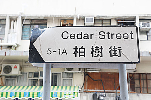 柏树街路牌