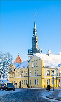 街道,老城,建筑,爱沙尼亚人,首都