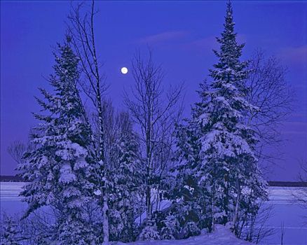 冬天,月出,湖,州立公园,密歇根
