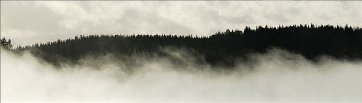 雾,湖,瑞典