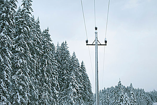 电线杆,阿尔卑斯山,奥地利