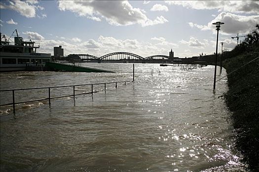 莱茵河,洪水,四月,2007年,科隆,北莱茵威斯特伐利亚,德国