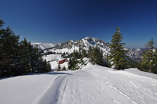 风景,雪,徒步旅行,坎彭完特山,齐姆高,上巴伐利亚,德国南部