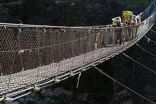 桥,上方,河,萨加玛塔国家公园,尼泊尔