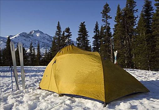 帐蓬,滑雪,冬天,露营,白色,后面,小路,不列颠哥伦比亚省,加拿大