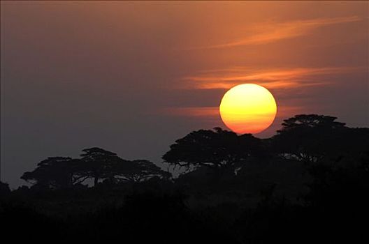 日落,安伯塞利国家公园,肯尼亚,非洲