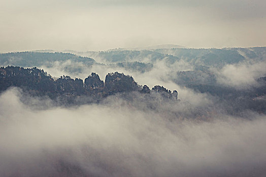 雾状,风景,撒克逊瑞士,靠近