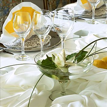 玻璃碗,白花,桌子,特写
