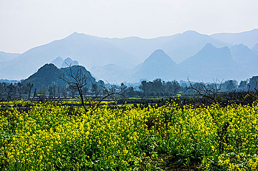 田园春色