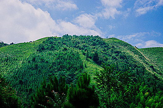 山岭风光