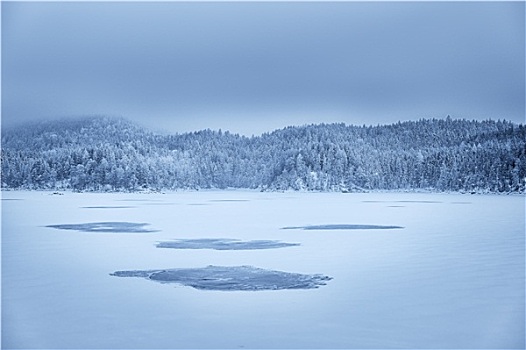 树林,湖,雪,巴伐利亚