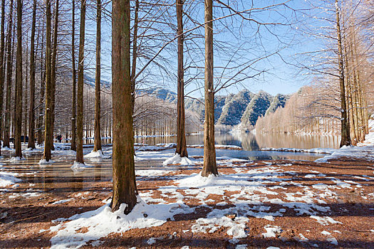 陕西汉中龙池雪景