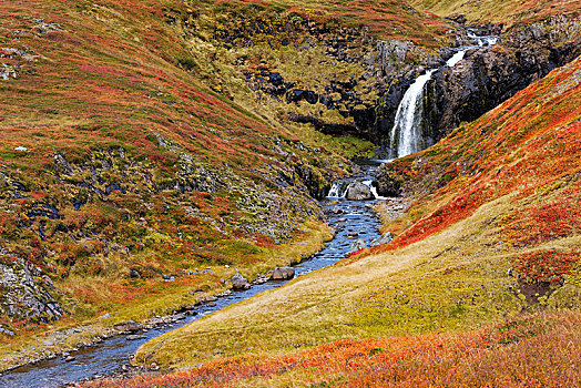小,瀑布,秋日风光,西部,冰岛,欧洲