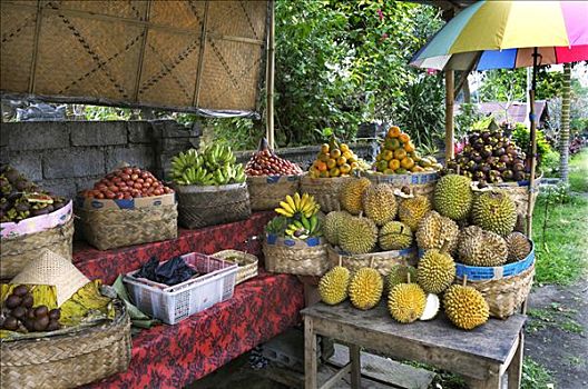 水果,榴莲,树,靠近,巴厘岛,印度尼西亚,东南亚