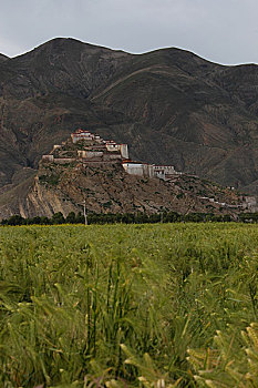 江孜城堡
