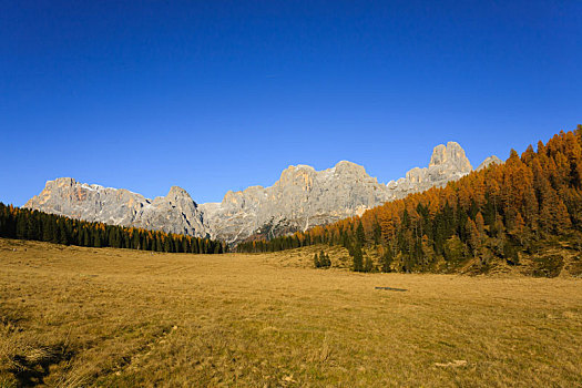 秋天,全景,意大利阿尔卑斯山