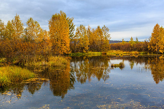 湿地,之秋