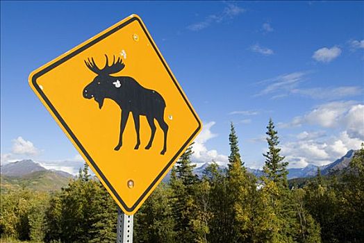 驼鹿,警告标识,阿拉斯加,美国