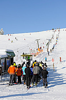 雪橇,滑雪,山,菲尔德山,南方,黑色,树林,巴登符腾堡,德国,欧洲