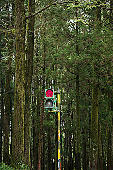 台湾嘉义市阿里山森林小火车信号灯