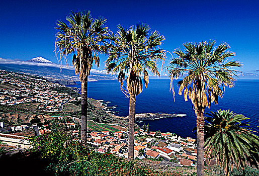 山谷,特内里费岛,加纳利群岛,西班牙