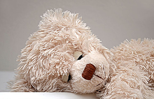 睡觉,泰迪熊,毛绒玩具