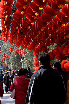 北京春节庙会上的红灯笼和逛庙会的人