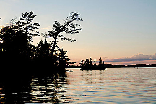 剪影,树,黄昏,湖,木头,安大略省,加拿大