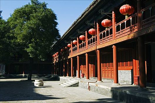 中国,北京,庙宇,灯笼,装饰,建筑