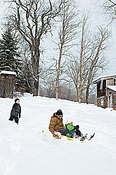 家庭,滑雪橇,雪中
