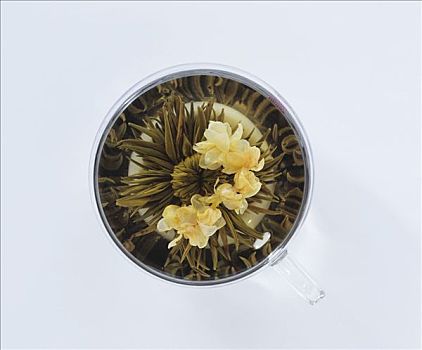 茶花,花,玻璃杯
